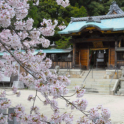 桜と八幡社